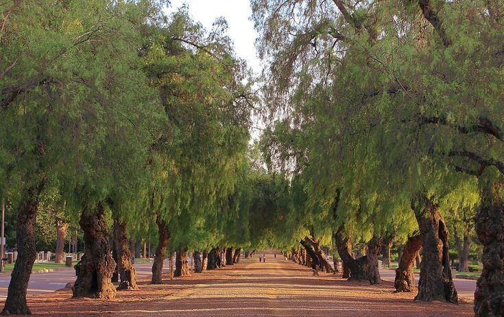 A quiet Southern California street representing private local homeowner support